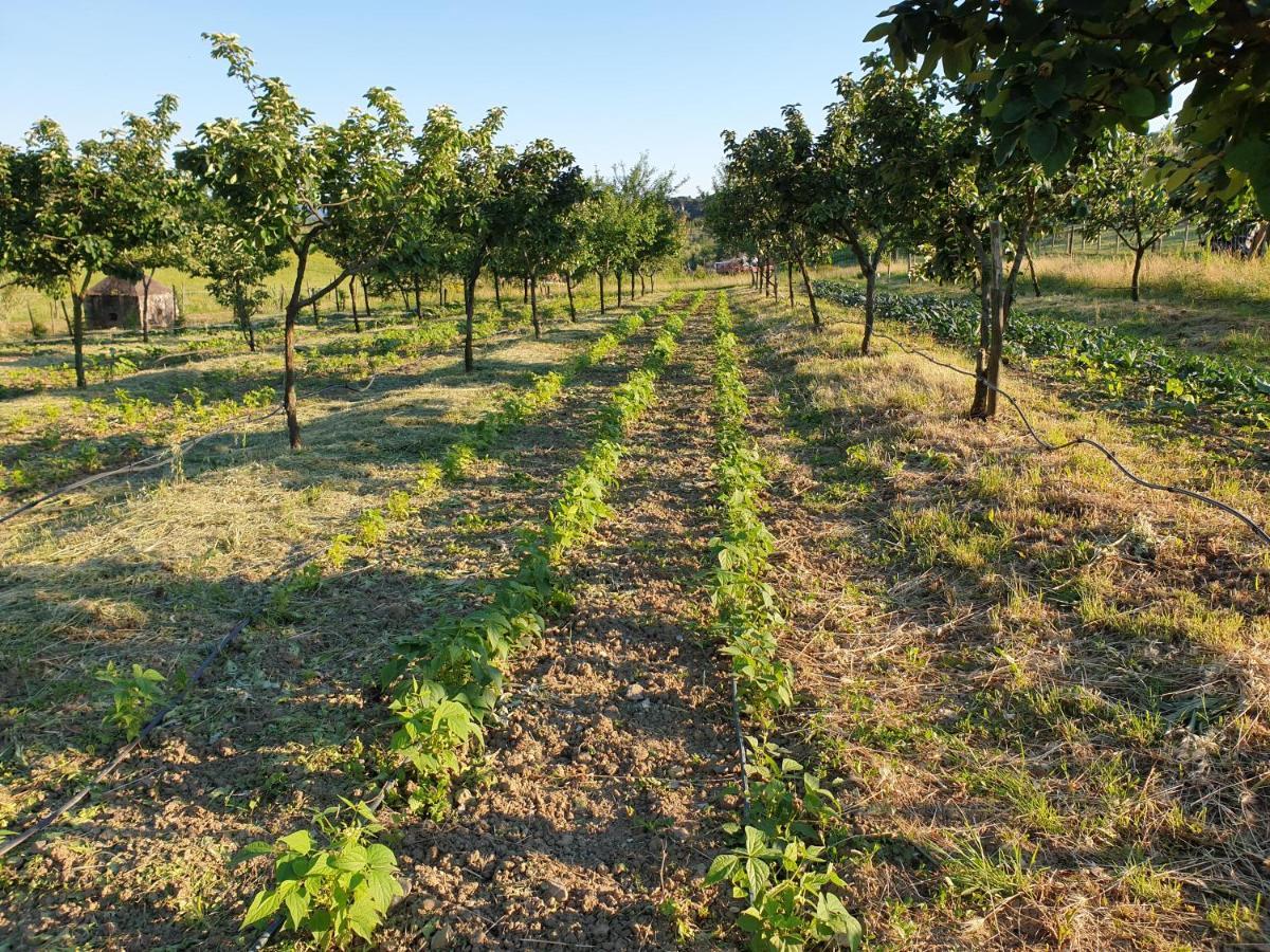 Fattoria Di Maiano Pensionat Fiesole Eksteriør billede