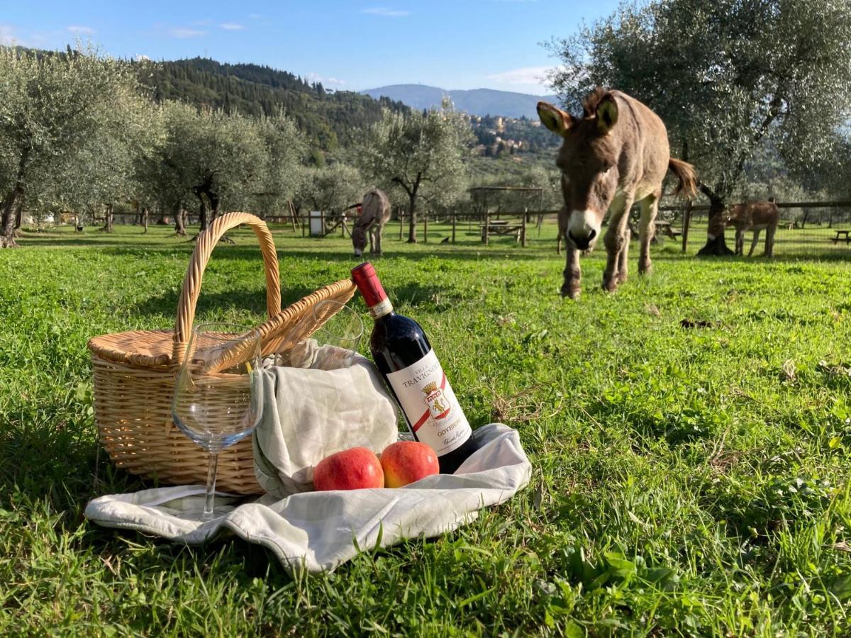Fattoria Di Maiano Pensionat Fiesole Eksteriør billede