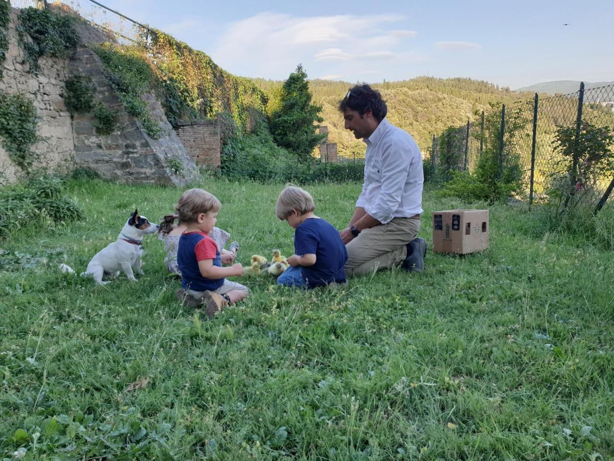 Fattoria Di Maiano Pensionat Fiesole Eksteriør billede